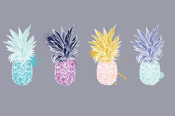 Pineapple tropical fruit. Vector object.