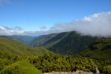 Fototapeta premium Paysage de MADERE.