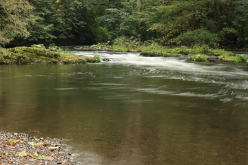 Stillwasser in der Bode bei Treseburg