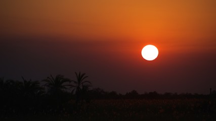 Sunset at Okavango Delta in Botswana
