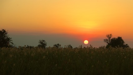 Sunset at Okavango Delta in Botswana