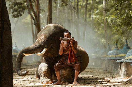 Monk playing an instrument, sitting on an elephant, Thailand