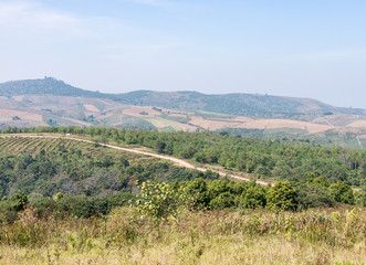 Vegetable plot on the high mountain.