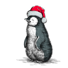 penguin, black and white engrave. Christmas hat.