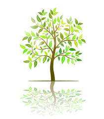 Tree with green leaves vector