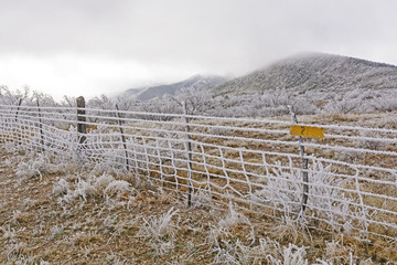 Texas Ranch in an Ice Storm
