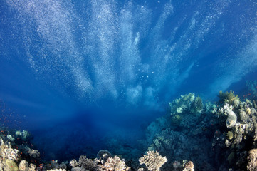 Raising underwater bubbles on a coral background