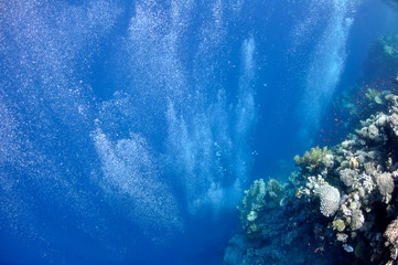 Raising underwater bubbles in the blue sea