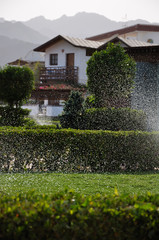 Obraz premium Sprayed water drops on a poured lawn and the distant misty house