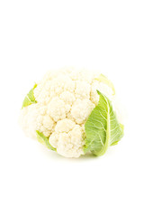 Head of white cauliflower, isolated