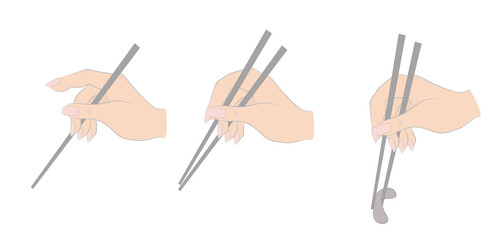 Holding the chopsticks. vector illustration.