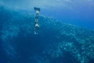 Fototapeten Freediver moves underwater along the coral reef © serg269