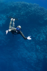 Obraz na płótnie Canvas Freediver moves underwater along coral reef