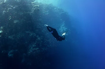 Foto auf Acrylglas Freediver bewegt sich unter Wasser entlang des Korallenriffs © serg269