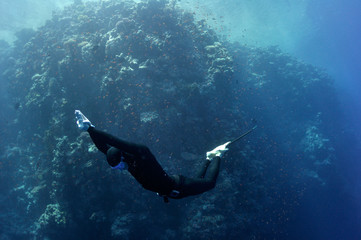 Freediver moves underwater along coral reef