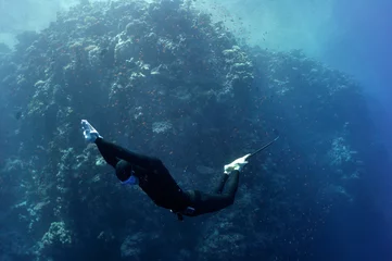 Zelfklevend Fotobehang Freediver moves underwater along coral reef © serg269