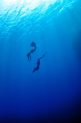 Obraz na płótnie Canvas The romantic simultaneous freedive into the depth