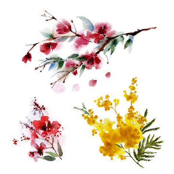 Set of three flowering branches, watercolor