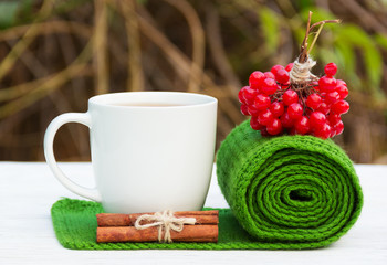 Warming drink with cinnamon and red berries. Green knitted scarf folded into a roll. White mug of tea and a knitted scarf. Autumn concept. Winter concept. 