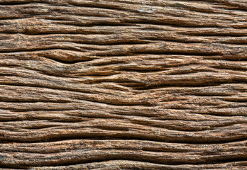 Wood texture background. Weathered hardwood plank closeup texture.