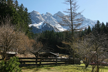 Mountain garden landscape in winter time