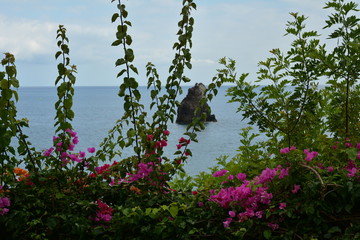 Vue sur mer, FUNCHAL, MADERE.