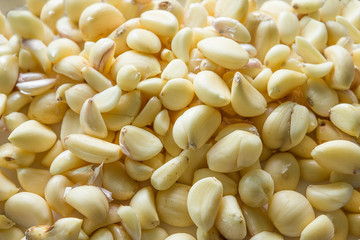 close up of garlic on market