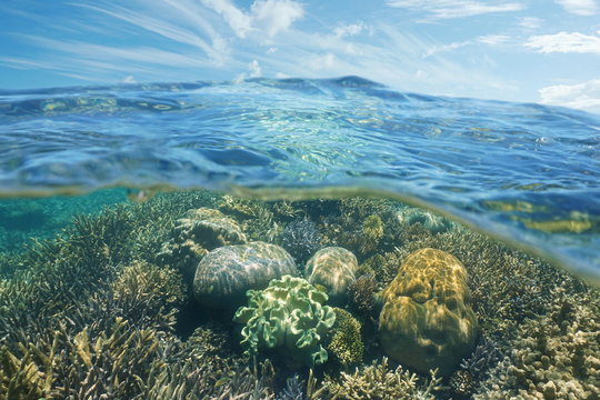 Above and below water, coral reef underwater and blue sky with clouds split by waterline, New Caledonia, south Pacific ocean