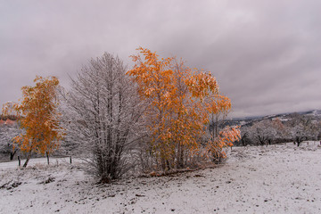 First snow in november