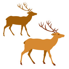 Deer vector illustration style Flat set
