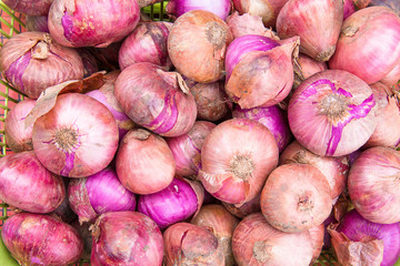 Shallots  used for seasoning