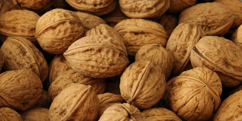 Background image of walnuts whole nuts.