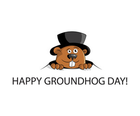 Happy groundhog day
