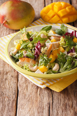Tasty salad of grilled chicken breast, mango, arugula, lettuce and chicory closeup. vertical