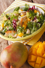 Vitamin salad with chicken fillet, mango, arugula, lettuce, spinach and chicory close-up. vertical