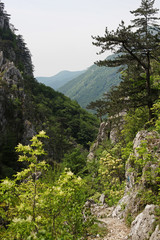 Obraz premium Stone path in the mountains of Cerna