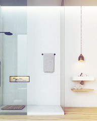Bathroom and toilet interior with white walls, toned