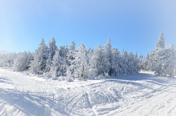 Obraz premium Weiße Winterlandschaft schneebedeckt - Wintersport