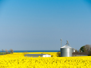 Nachhaltige Landwirtschaft Biogasanlage in einem Rapsfeld