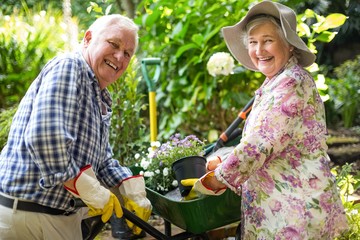 Happy senior couple with potted plants