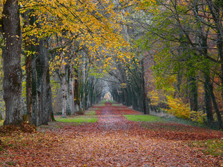 Château Chenonceau - Garden