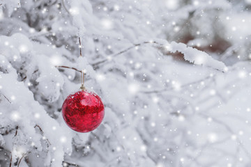 Red Christmas ball hanging on a snowy branch in the winter forest. Merry Christmas and Happy New Year theme