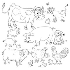 At the farm. Set of cute domestic animals