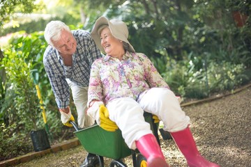 Husband pushing senior sitting on wheelbarrow