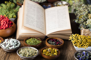 Assorted natural medical herbs and mortar