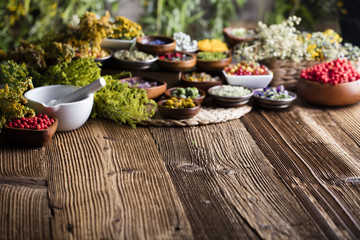Assorted natural medical herbs and mortar