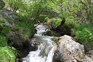 Naklejka na ściany i meble Small waterfall scene in Cerna Mountains, Romania
