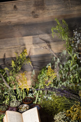 Assorted natural medical herbs and mortar