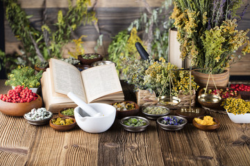 Assorted natural medical herbs and mortar