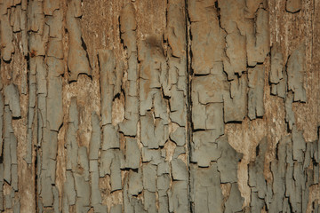 Obraz premium Old wood worn